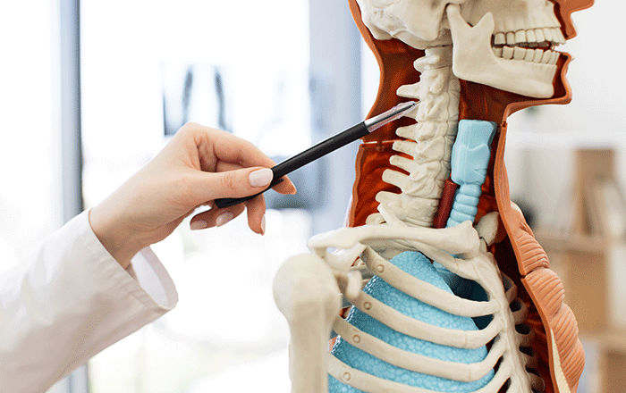 Anterior Cervical Osteophytectomy illustration